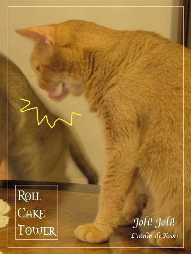joli!joli!のおうちごはんとおかしとねこ♪