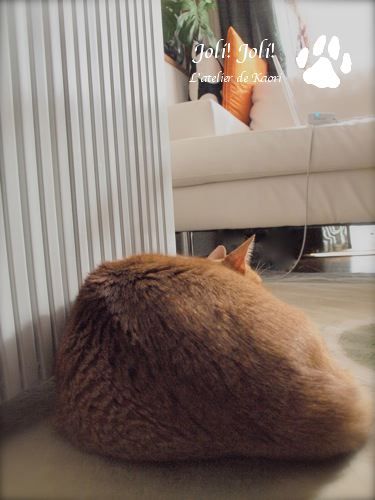 joli!joli!のおうちごはんとおかしとねこ♪