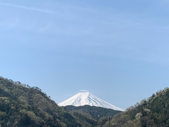 IMG_8713
