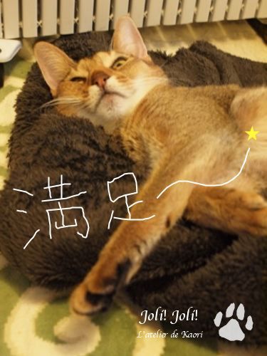 joli!joli!のおうちごはんとおかしとねこ♪