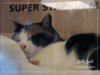 joli!joli!のおうちごはんとおかしとねこ♪