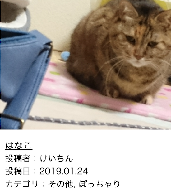 スクリーンショット 2019-01-25 14.37.28