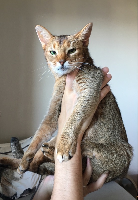 FullSizeRender