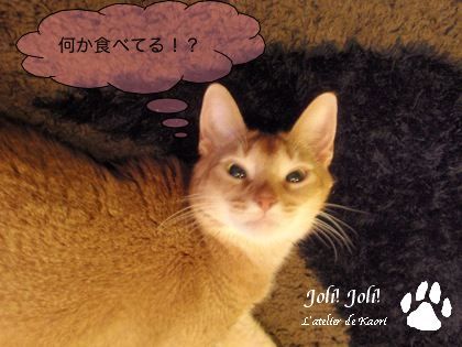 joli!joli!のおうちごはんとおかしとねこ♪