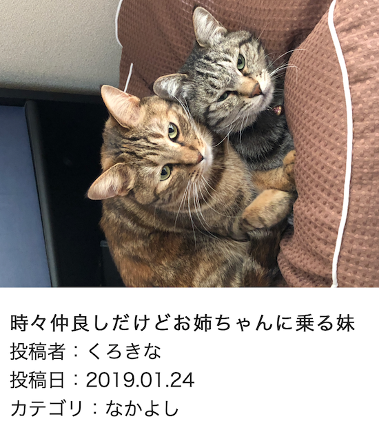 スクリーンショット 2019-01-25 14.39.43