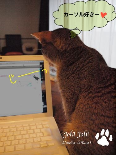 joli!joli!のおうちごはんとおかしとねこ♪