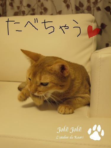 joli!joli!のおうちごはんとおかしとねこ♪