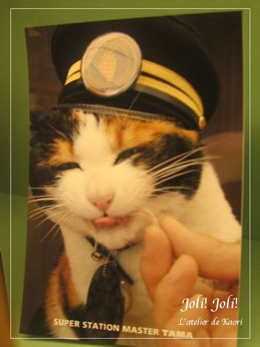 joli!joli!のおうちごはんとおかしとねこ♪