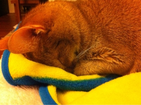 photo:02