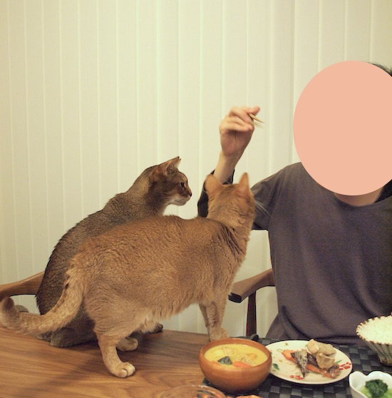 P2140177 のコピー