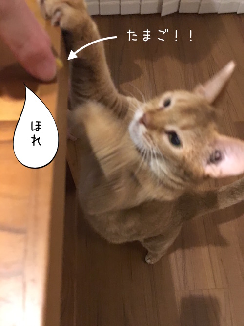 1cf3586f