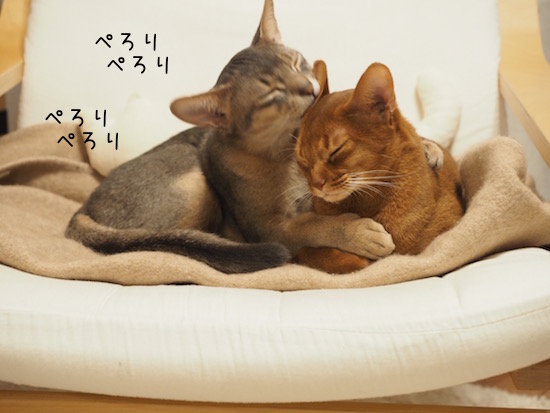 P1310412