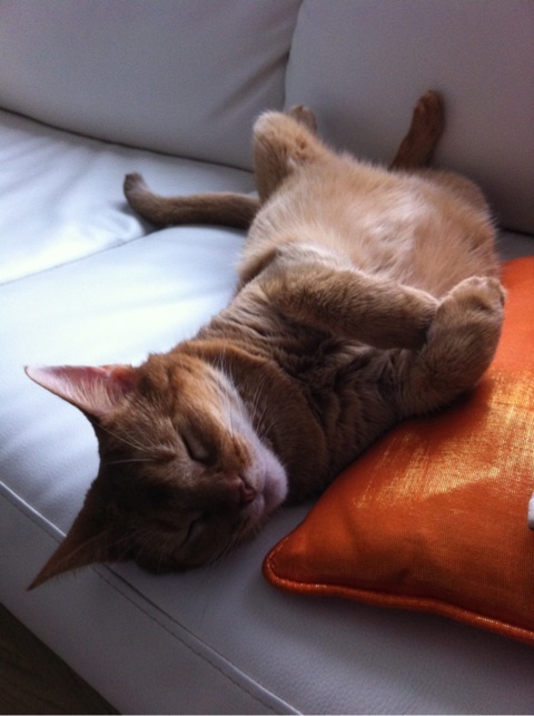 photo:07