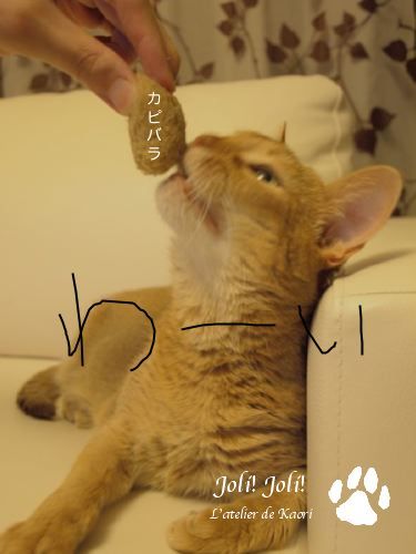 joli!joli!のおうちごはんとおかしとねこ♪