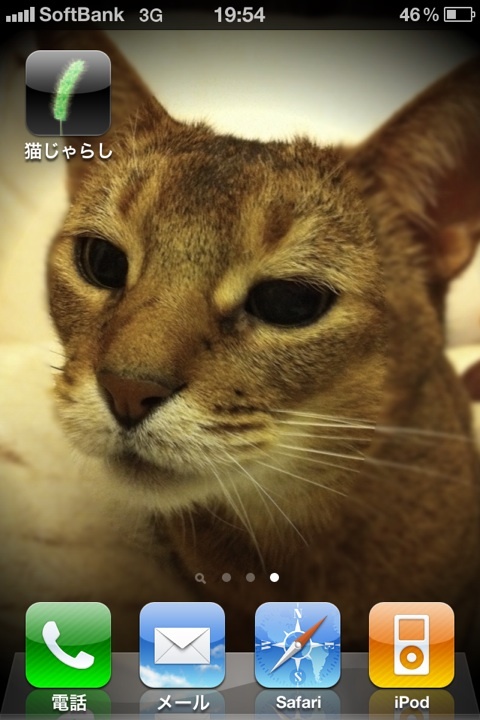 photo:07