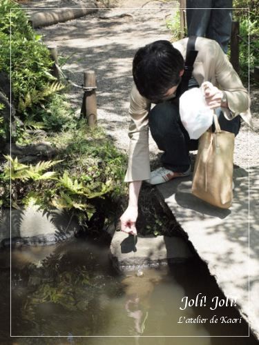 joli!joli!のおうちごはんとおかしとねこ♪