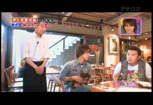 snapshot20101228134703