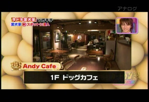 snapshot20101228134536