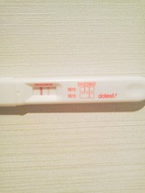 85d901ee.jpg