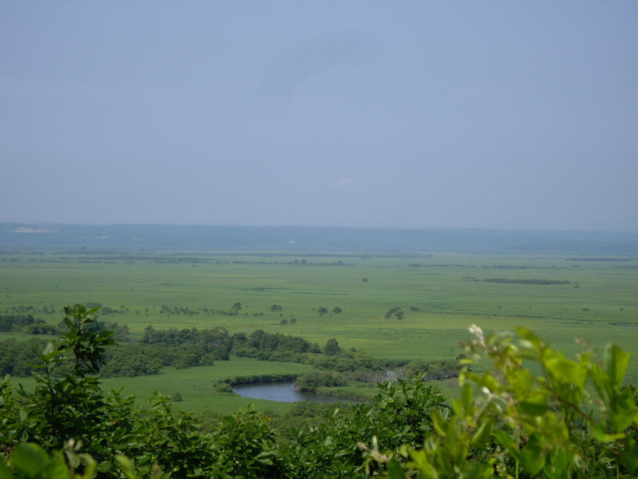 IMGP2009