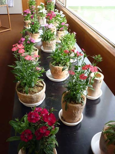 blog20120125_005
