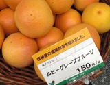 グレープフルーツ (2)