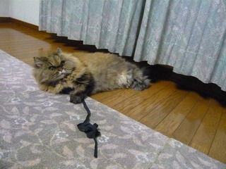 20111006
