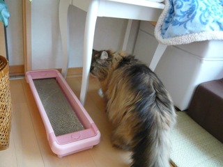 2011622