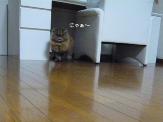 20111011