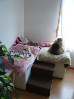 201129