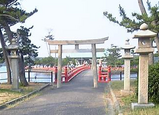 ゴイサギ