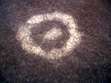feltmat2
