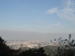 DSC09341