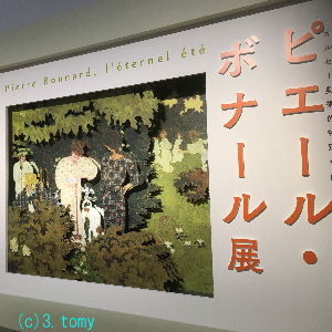 (c)3.tomy