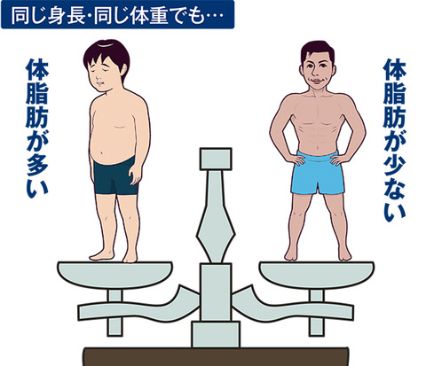 同体重体脂肪比較