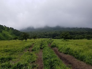 20170821_133811
