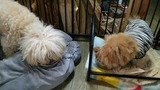 39597e67.jpg