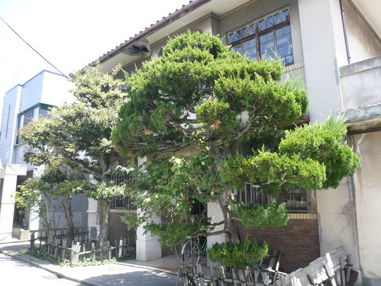 P1190032