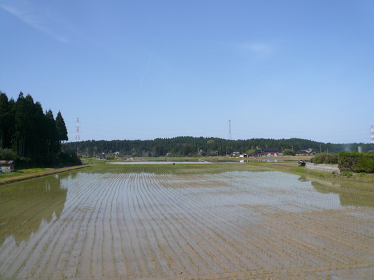 P1190385
