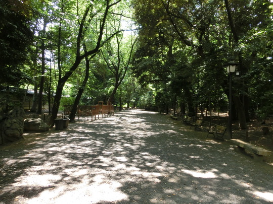 CIMG0054