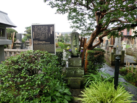 CIMG0207