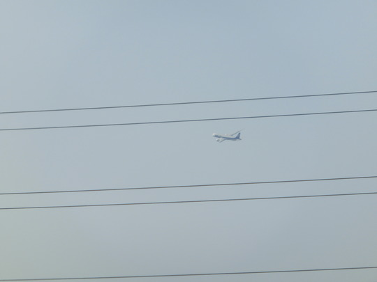 CIMG0264