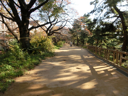 kioi (2)
