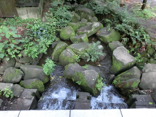 CIMG0288