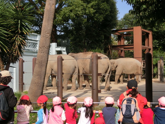 uenozoo (2)