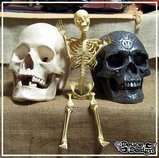 骸骨達