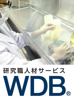 wbd-holdings