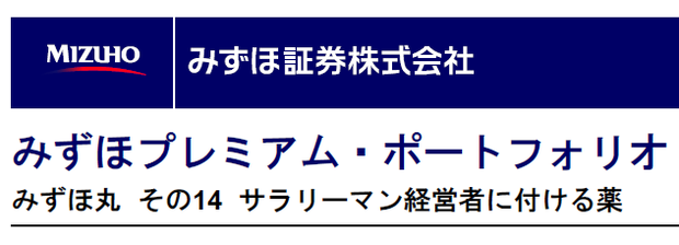mizuho-premium-portfolio