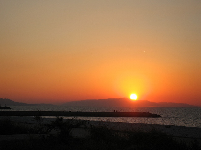 b01ff856.jpg