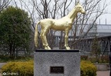 アハルテケ